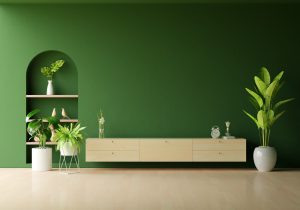 Green colour wall - Smartscale house design