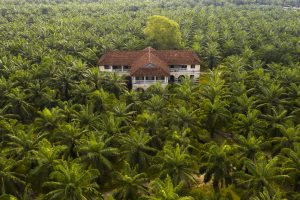 Kerala style bungalow/smartscale house design
