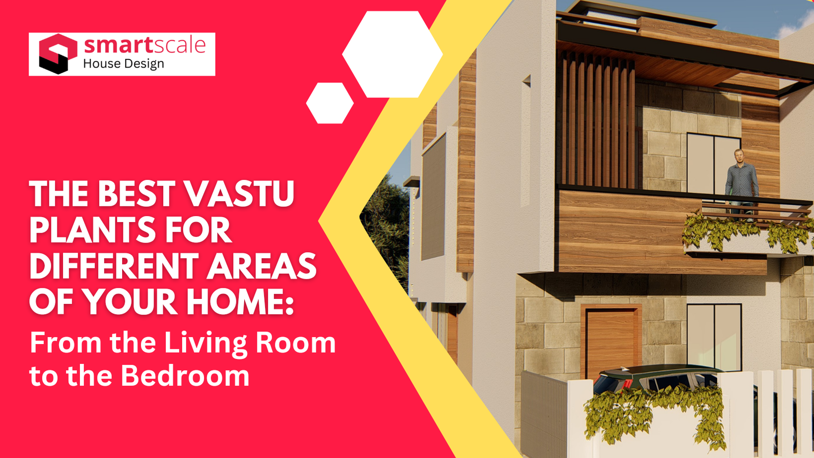 The Best Vastu Plants for Different Areas of Your Home: From the Living ...